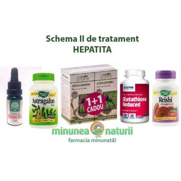 Schema II tratament HEPATITA