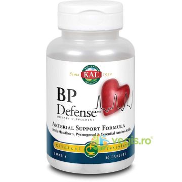 BP Defense 60tb Secom,