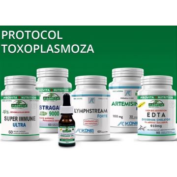 Protocol Toxoplasmoza [pt infectia cu protozoarul toxoplasma gondii] 10b - PROVITA