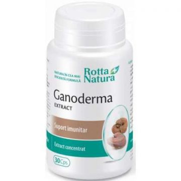 Ganoderma Extract Rotta Natura 30 capsule (Concentratie: 500 mg)