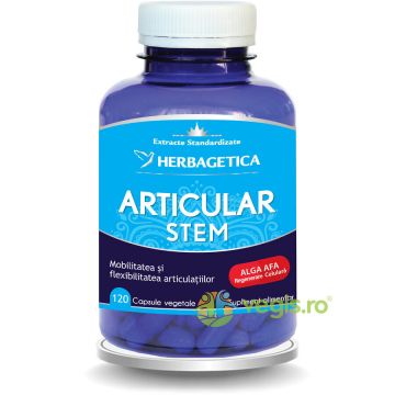 Articular Stem 120cps