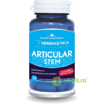 Articular Stem 30cps