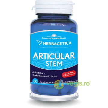 Articular Stem 60cps