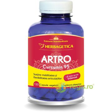 Artro Curcumin 95 120cps