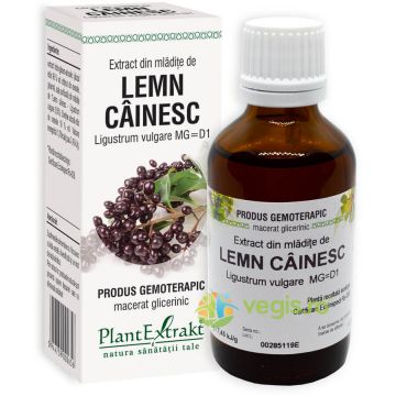 Extract din Mladite de Lemn Cainesc 50ml Extract din Mladite de Lemn Cainesc 50ml