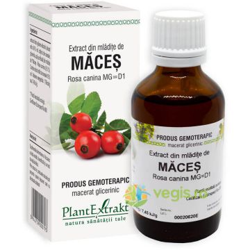 Extract din Mladite de Maces 50ml