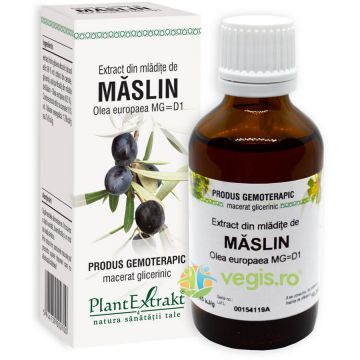 Extract din Mladite de Maslin 50ml