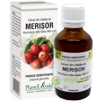 Extract din Mladite de Merisor 50ml Extract din Mladite de Merisor 50ml