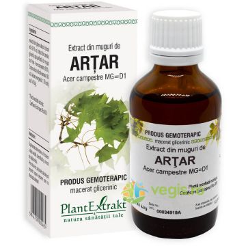 Extract din Muguri de Artar 50ml