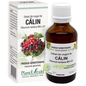 Extract din Muguri de Calin 50ml Extract din Muguri de Calin 50ml