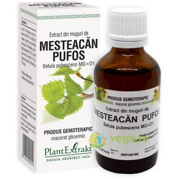 Extract din Muguri de Mesteacan Pufos 50ml Extract din Muguri de Mesteacan Pufos 50ml
