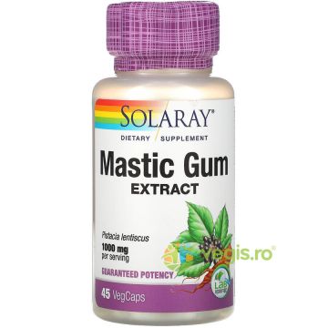 MASTIC GUM 45cps Secom,