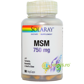 MSM 750mg (Metilsulfonilmetan) 90cps Secom,