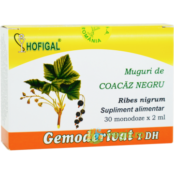 Muguri de Coacaz Negru 30monodz