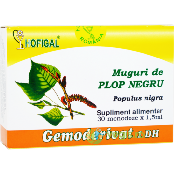 Muguri de Plop Negru 30monodz