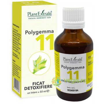 Polygemma 11 (Ficat-Detoxifiere) 50ml Polygemma 11 (Ficat-Detoxifiere) 50ml