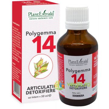 Polygemma 14 (Articulatii-Detoxifiere) 50ml