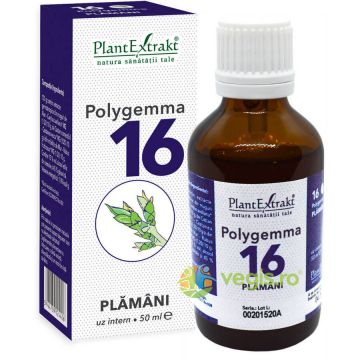 Polygemma 16 (Plamani) 50ml
