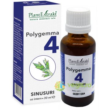 Polygemma 4 (Sinusuri) 30ml