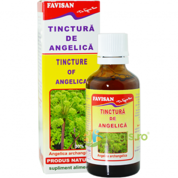 Tinctura De Angelica 50ml