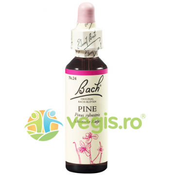 Bach 24 Pine (Pin) Picaturi 20ml