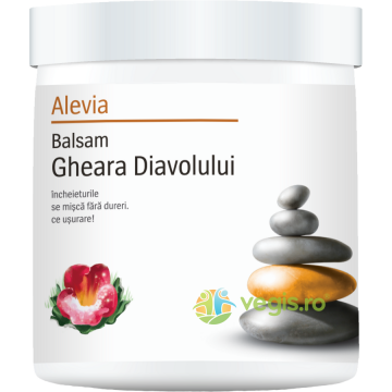 Balsam de Gheara Diavolului 250g