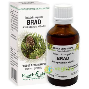 Extract din Muguri de Brad 50ml