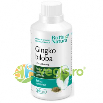 Ginkgo Biloba Extract 60mg - 90cps
