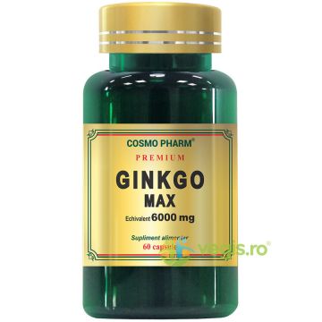 Ginkgo Max Extract 120mg echiv. 6000mg 60cps Premium
