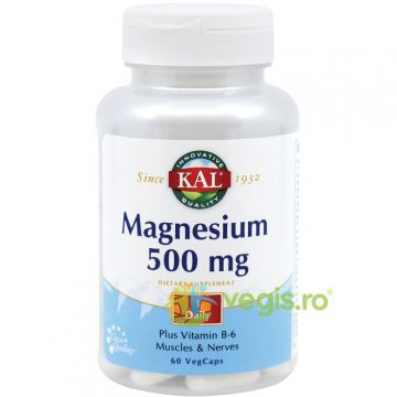 Magnesium 500Mg 60Cps Secom,