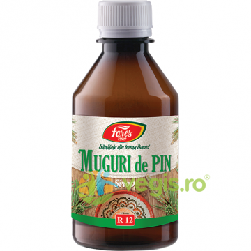 Sirop din Muguri de Pin (R12) 250ml