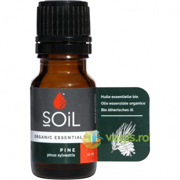 Ulei Esential de Pin Ecologic/Bio 10ml