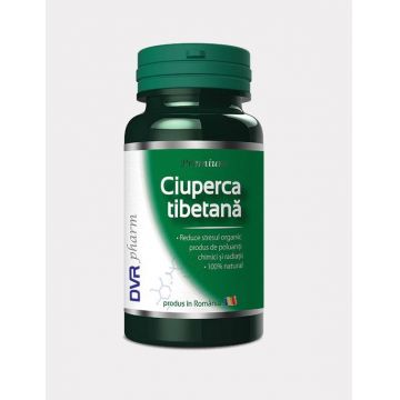 Ciuperca tibetana 60cps - DVR Pharm