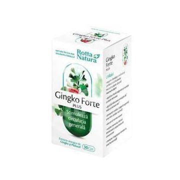 Ginkgo Forte Plus 30cps - Rotta Natura