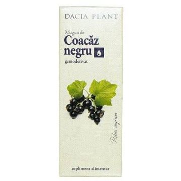 Muguri Coacaz Negru gemoderivat 50ml - Dacia Plant