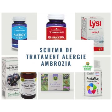 Schema de tratament antialergic I (alergie la ambrozia)