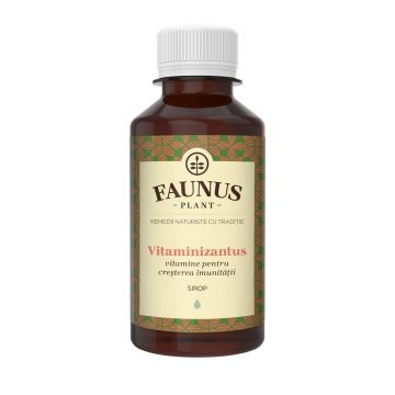 Sirop Vitaminizantus 200ml - Faunus Plant