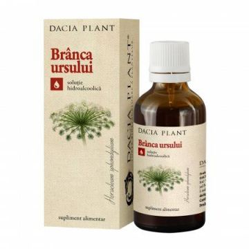 Tinctura Branca Ursului 50ml - Dacia Plant