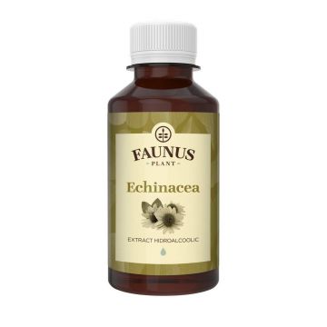 Tinctura Echinacea 200ml - Faunus Plant