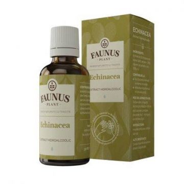 Tinctura Echinacea 50ml - Faunus Plant