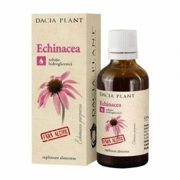 Tinctura Echinacea fara alcool 20ml - Dacia Plant