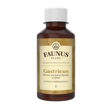 Tinctura Gastricus 200ml - Faunus Plant