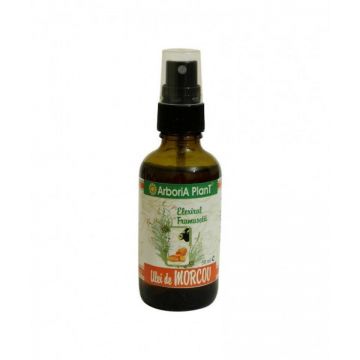 Ulei de morcov 50ml - Arboria Plant