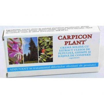 Carpicon Plant supozitoare cu extract uleios de pufulita, ghimpe si rasina de conifere 1g 10buc - ELZIN PLANT