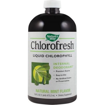 Chlorofresh Mint Liquid 473.20ml - Nature's Way - Secom