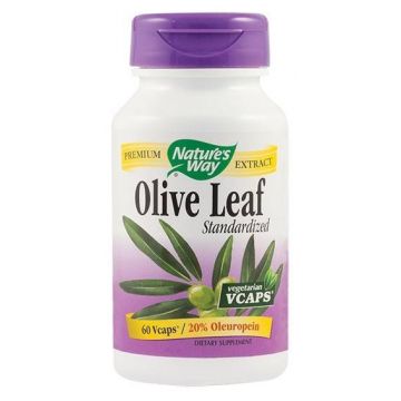 Olive Leaf 20% SE 60tb - Nature's Way - Secom