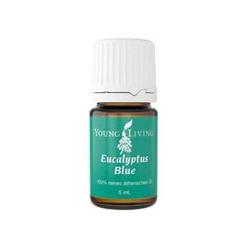 Ulei esential de Eucalipt albastru 5ml - Young Living