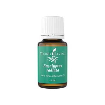 Ulei esential de Eucalipt Radiata 15ml - Young Living