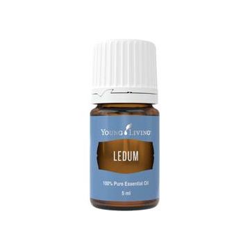 Ulei esential de Ledum (rozmarin salbatic) 5ml - Young Living