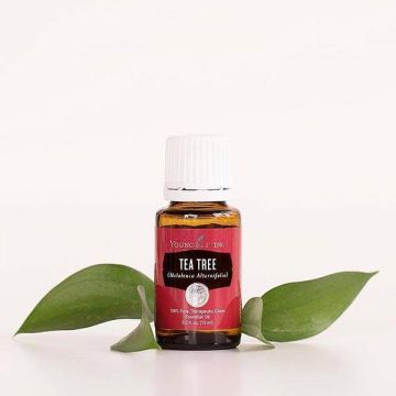 Ulei esential de Tea Tree (Melaleuca Alternifolia) 15ml - Young Living